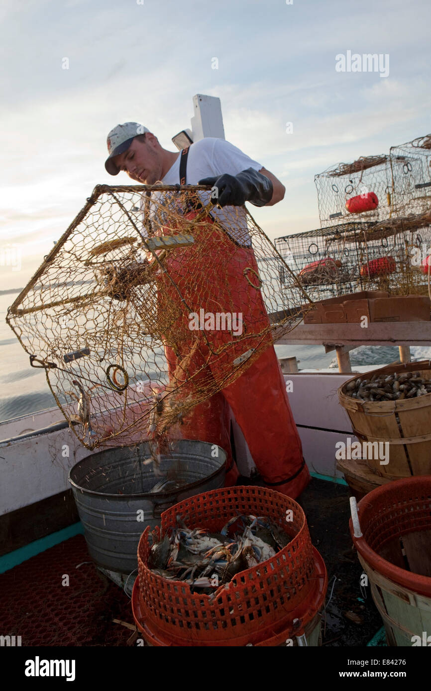 Crab Fishermen, Tangier island, Eastern Shore, Maryland, USA Stock Photo Alamy