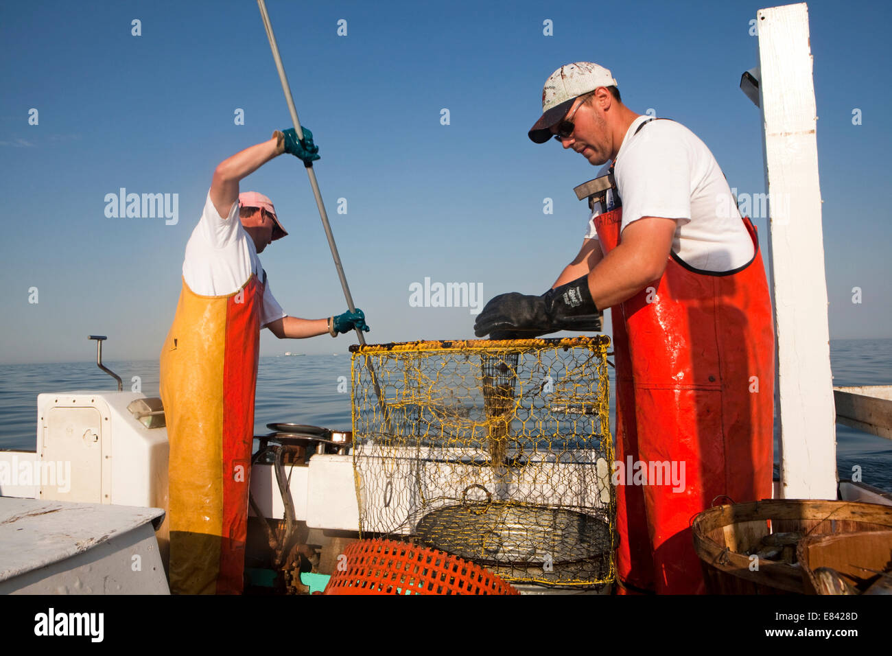 Fisherman preparing crab trap on fishing boat, Chesapeake Bay