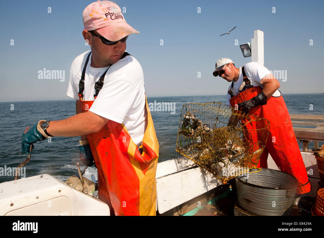 Fishermen loading crab trap onto fishing boat, Chesapeake Bay, Maryland