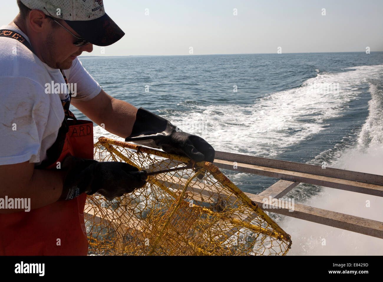 Fisherman preparing crab trap on fishing boat, Chesapeake Bay, Maryland