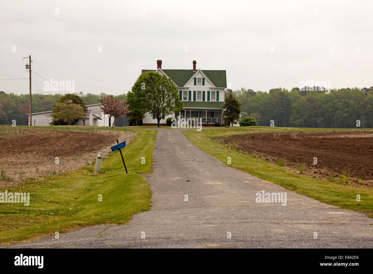 Chicken farm america hires stock photography and images Alamy