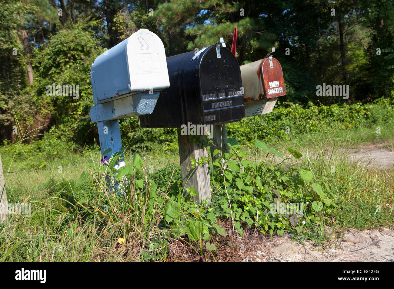 Chicken farm us industrial hires stock photography and images Alamy