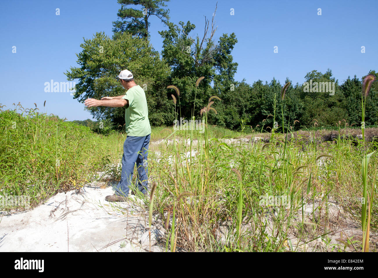 Chicken farms eastern shore maryland usa Stock Photo Alamy