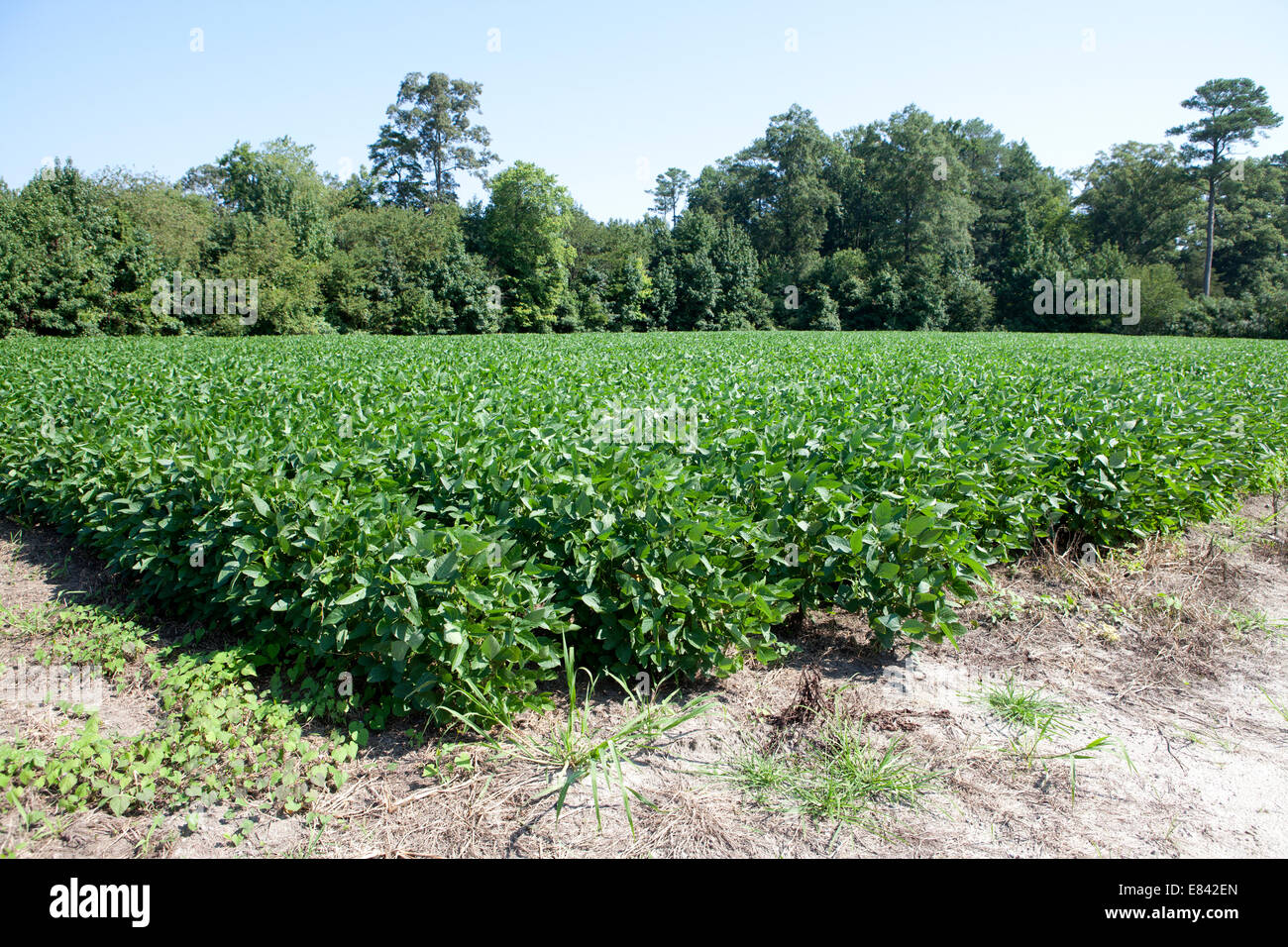 Eastern Shore ,maryland Stock Photos & Eastern Shore ,maryland Stock Images Alamy
