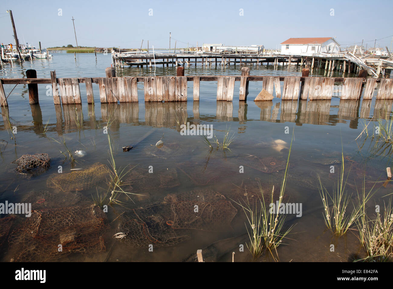 Wooden piers and discarded lobster pots in shallow water, Chesapeake