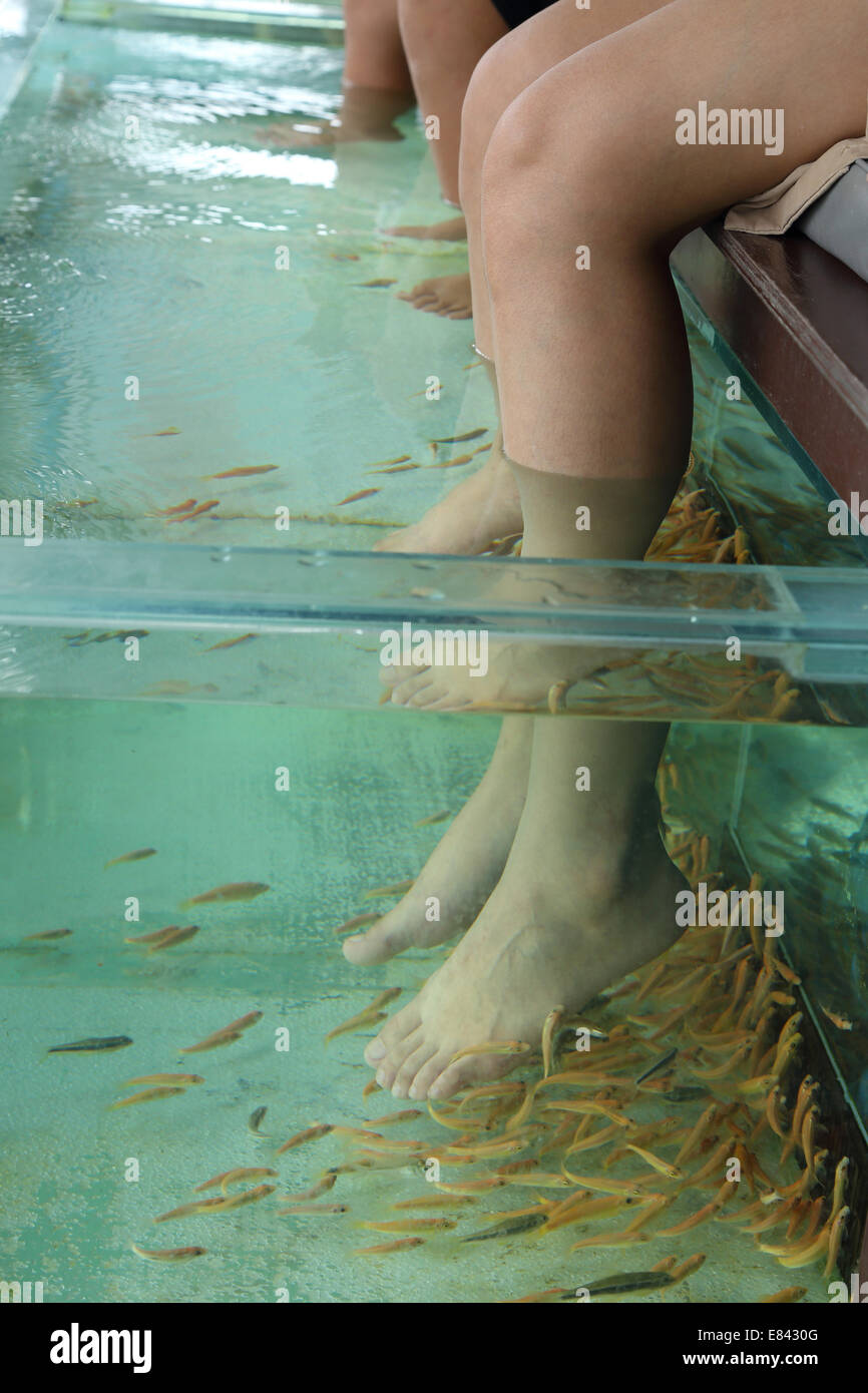 Fish Spa for foot Skin Therapy Stock Photo