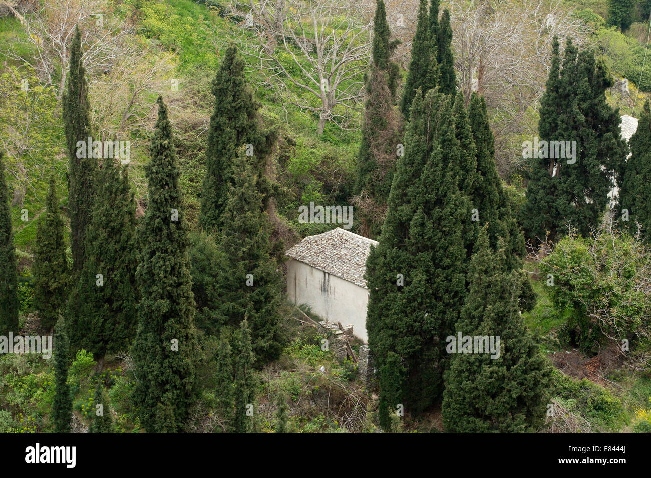 Chapel amongst funereal cypresses at Makrinitsa, Pilion peninsula, Greece. Stock Photo
