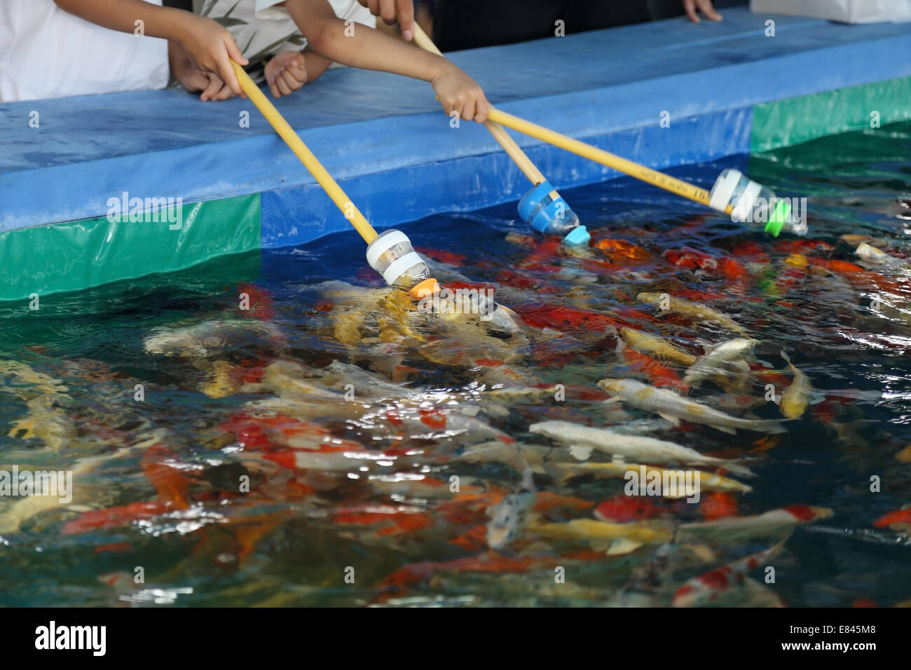 Koi Farm High Resolution Stock Photography And Images Alamy