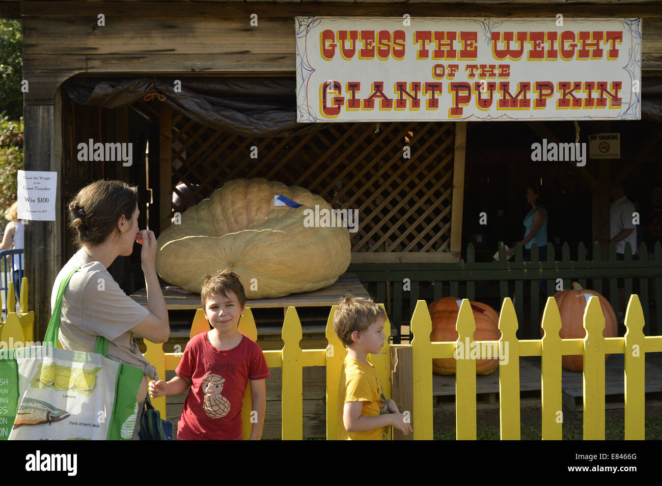 Guess the weight hires stock photography and images Alamy