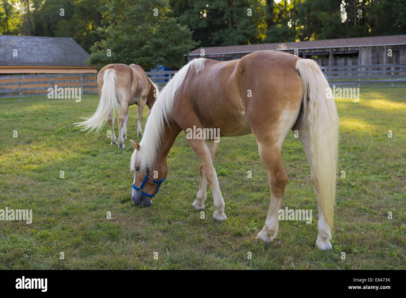 Old bethpage village restoration hires stock photography and images
