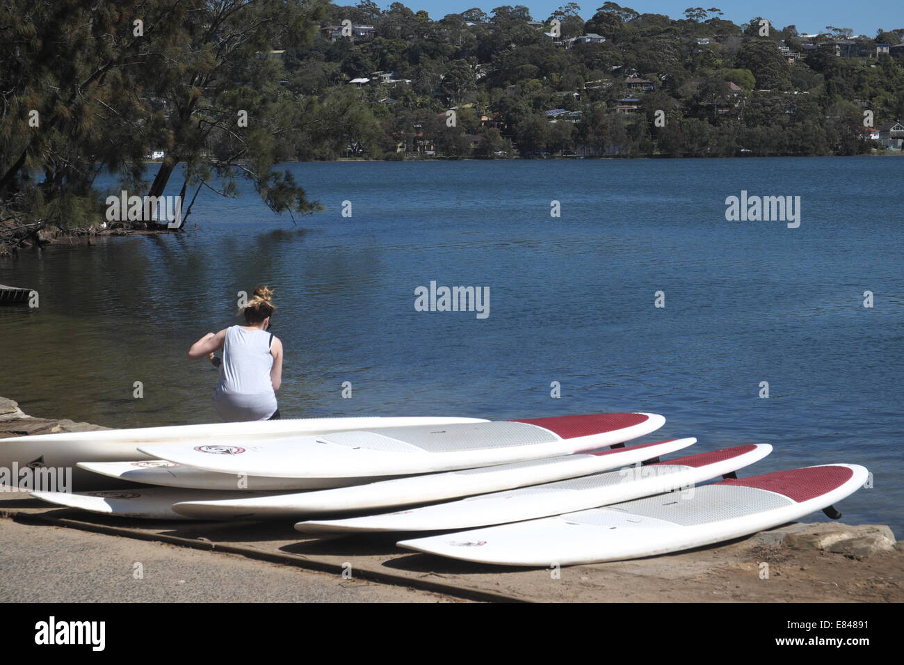 paddleboards for hire at narrabeen lake,sydney,australia Stock Photo
