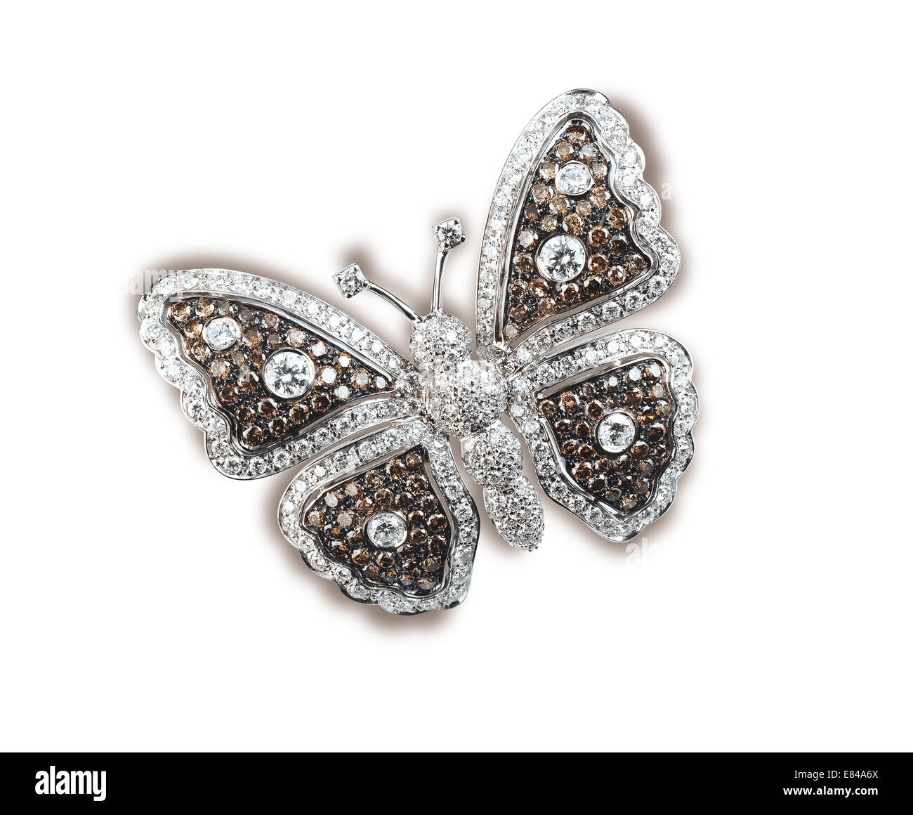 Precious butterfly diamond Stock Photo