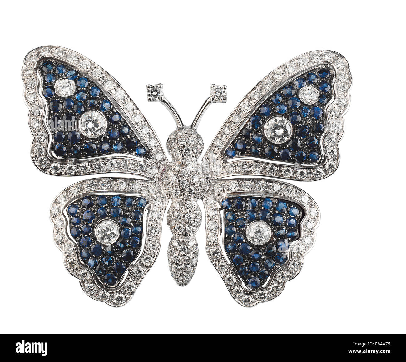 Precious butterfly diamond Stock Photo