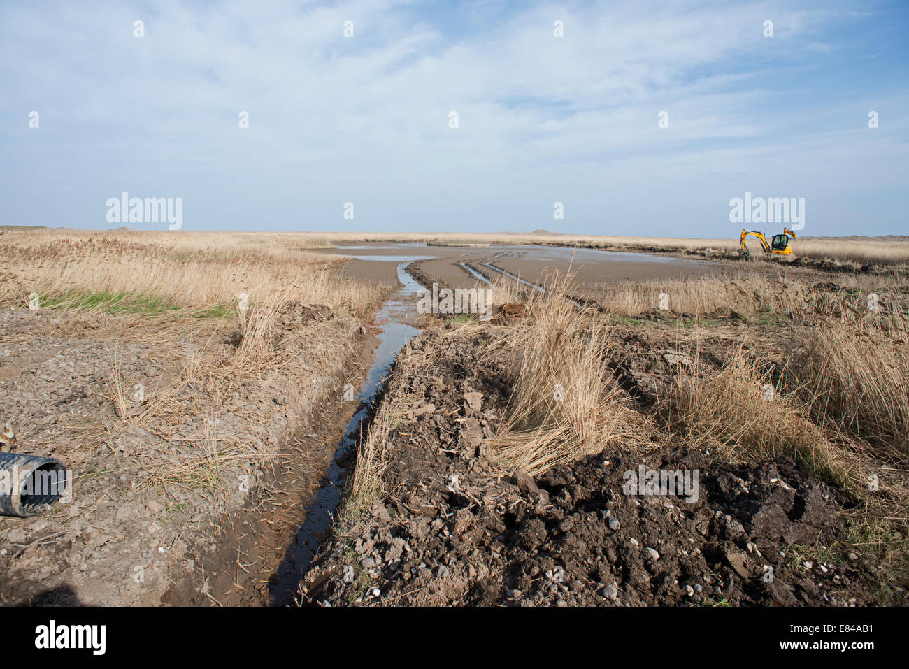 Restoration work on shooting pools on Pope's Marsh Cley NWT late winter Stock Photo
