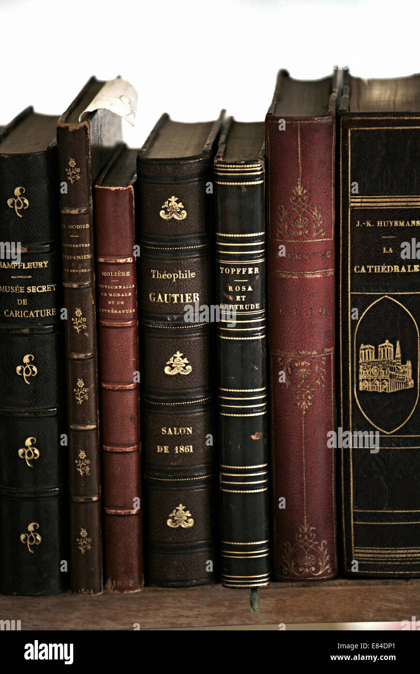 Shelf of old and antique books Stock Photo - Alamy