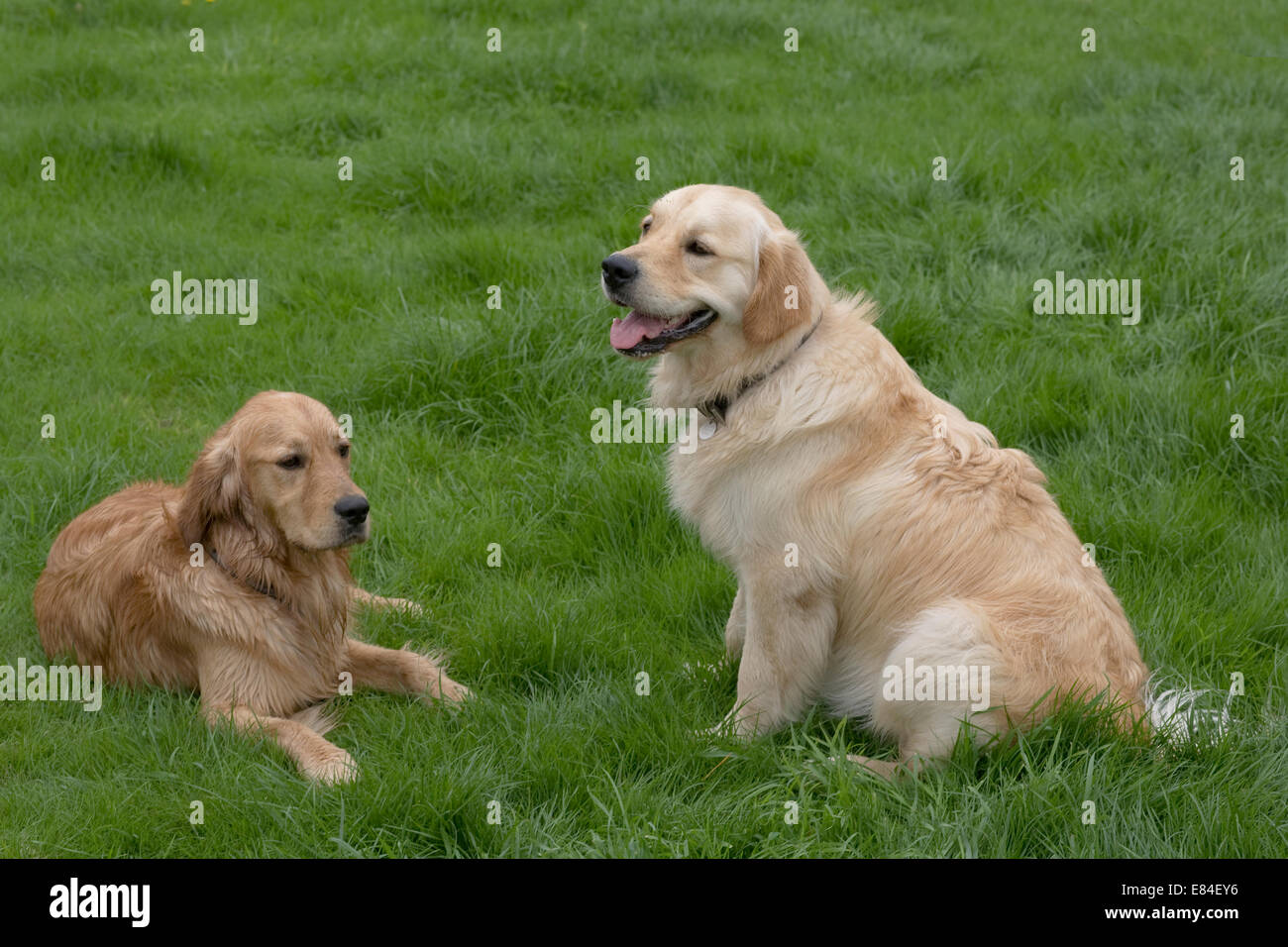 Reunited High Resolution Stock Photography and Images - Alamy