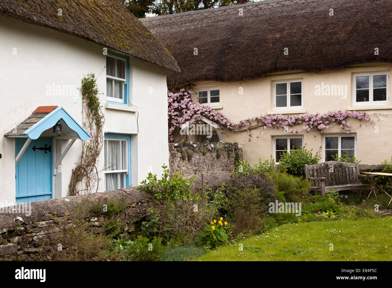 UK, England, Devon, Georgeham, thatched cottages below the churchyard Stock Photo