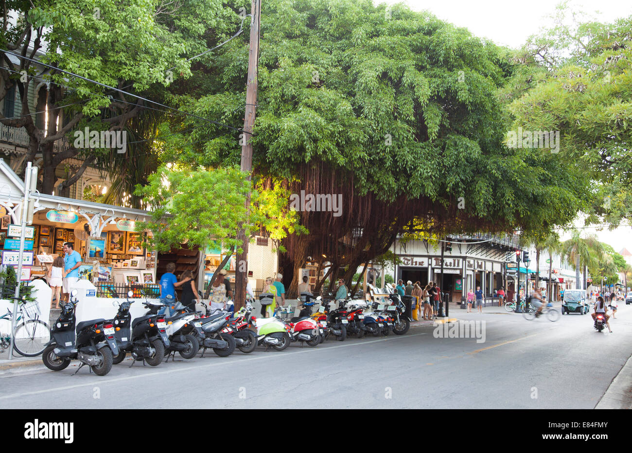 Mopeds and scooters on Duval Street in Key West the Florida Keys Stock