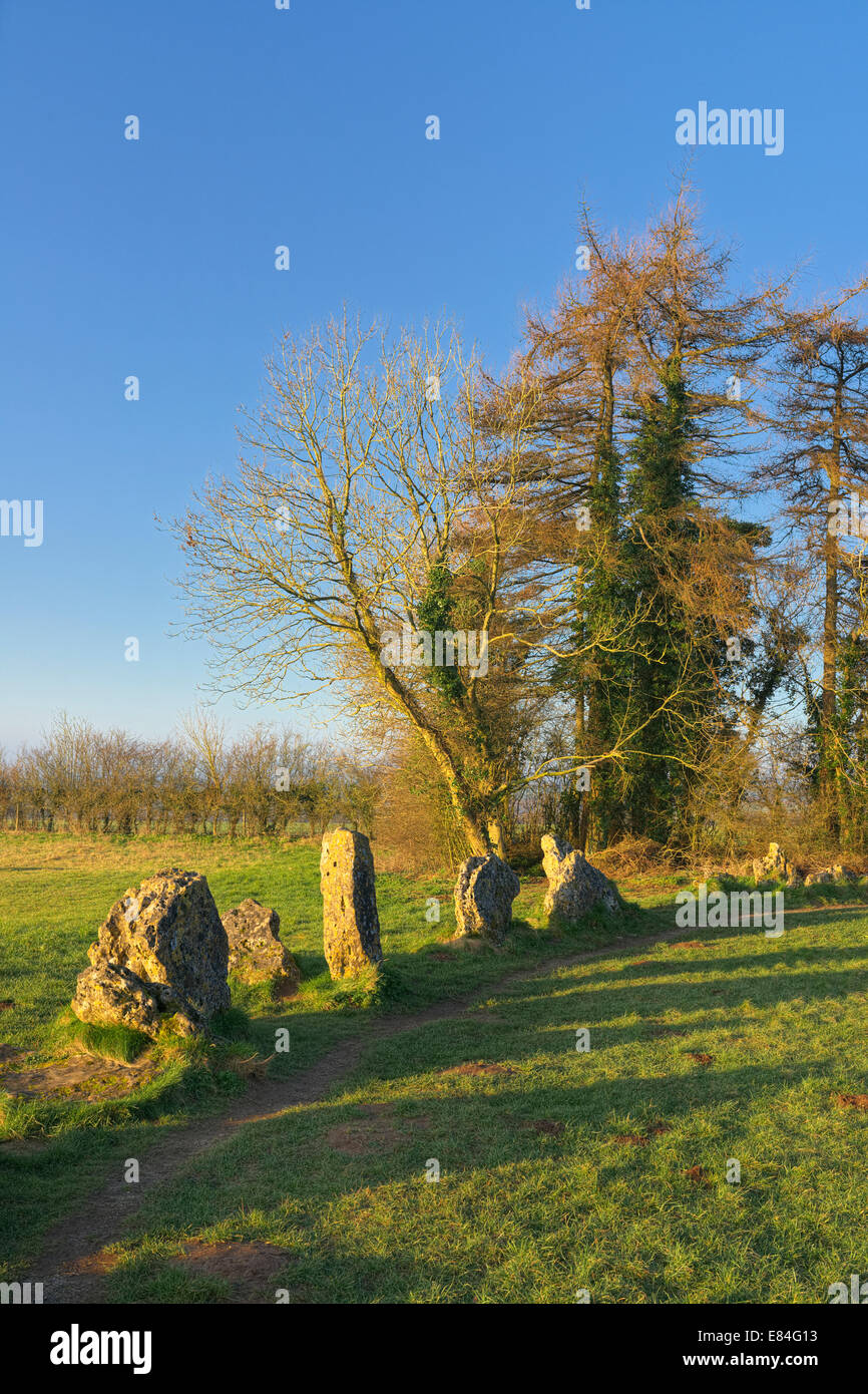 Detail of the King's Men stone circle, part of the Rollright Stones Oxfordshire England UK Stock Photo