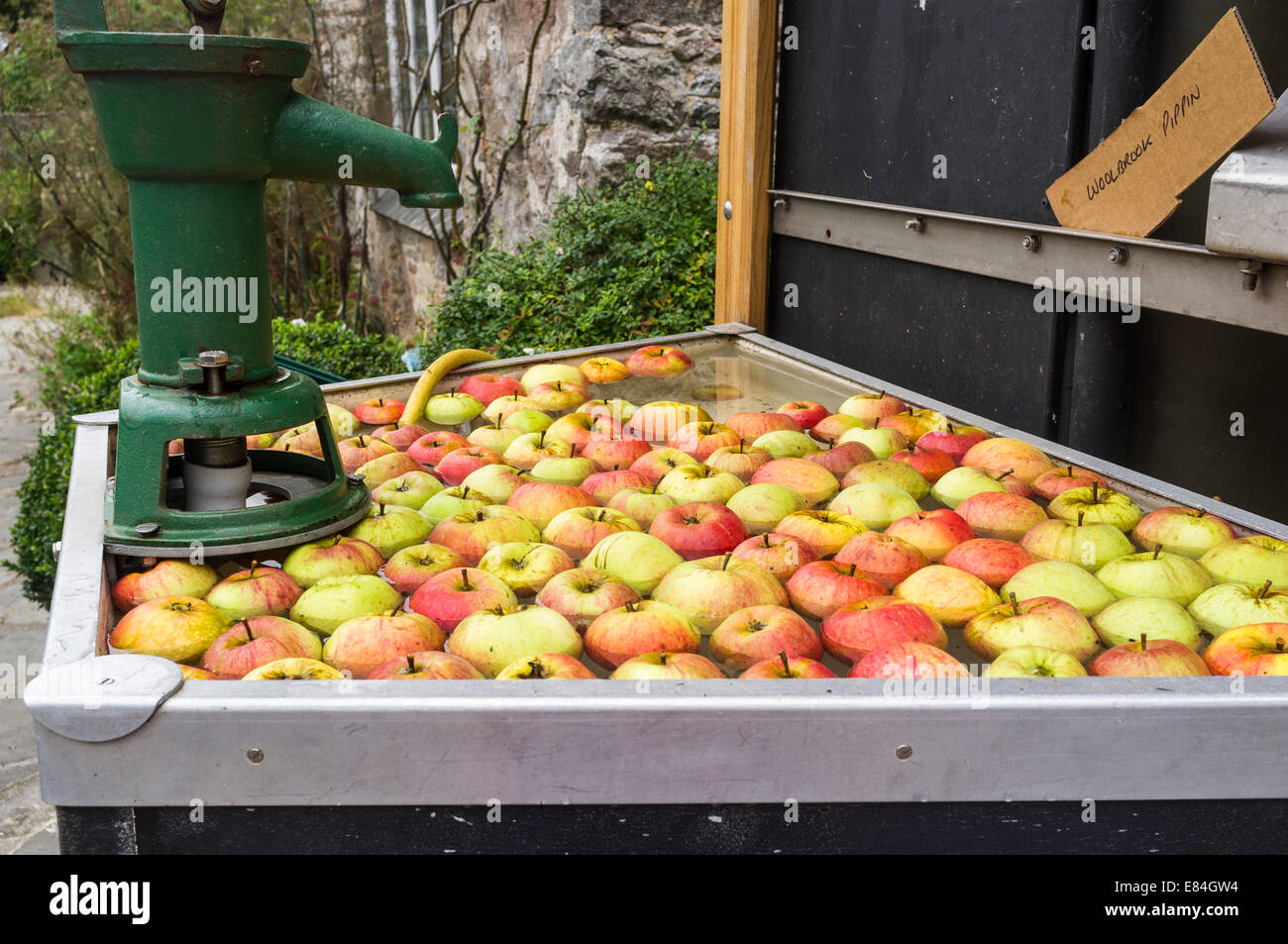 Dartington Cider Festival. A vintage apple juice and cider making machine at the Cider Festival. Stock Photo