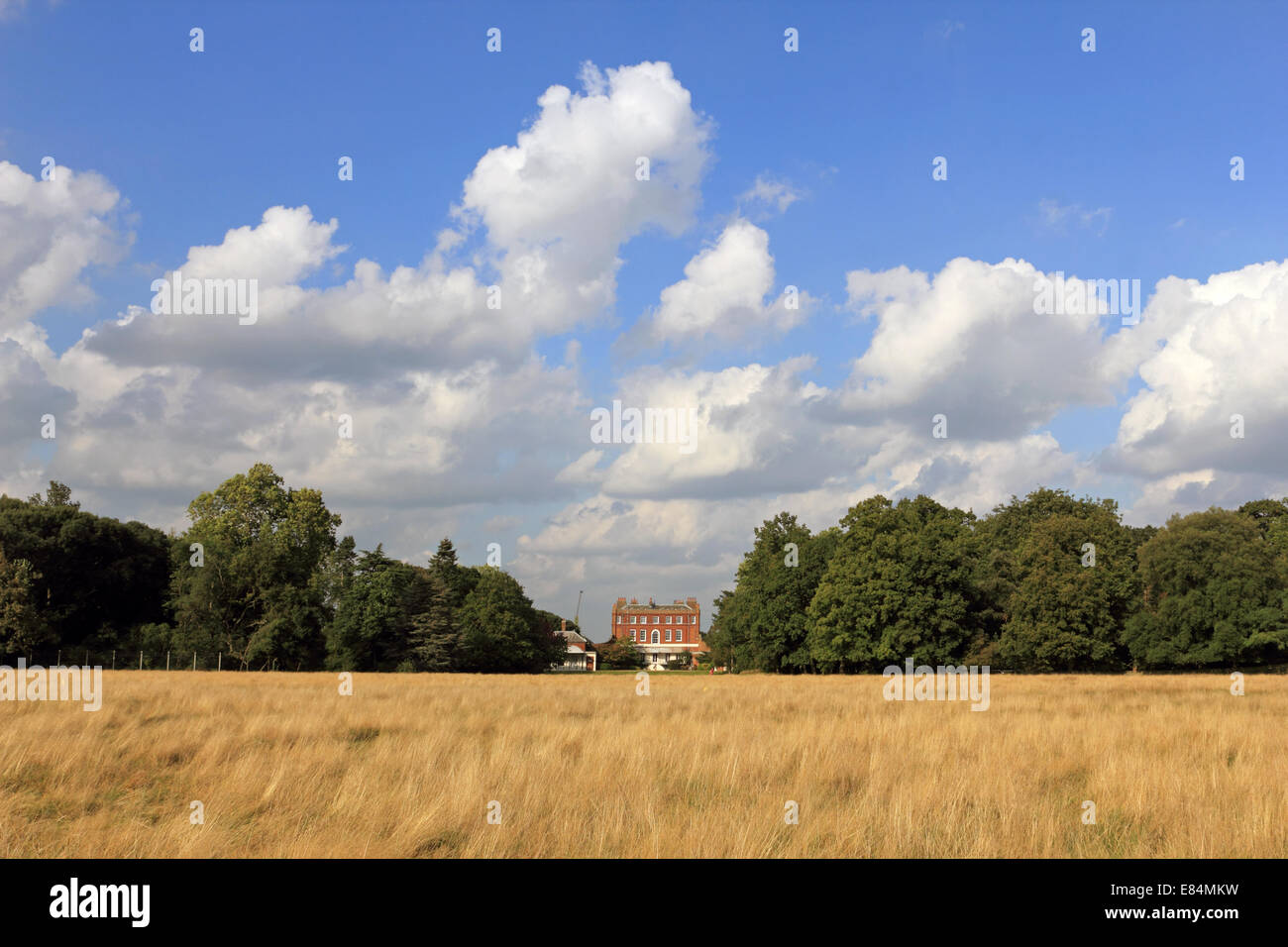 Bushy Park, SW London, England, UK. 30th September 2014. Fair weather clouds and blue skies in Bushy Park as the fine weather continues on the last day of September. Temperatures again reached 23 degrees today, officially making this the hottest and driest September since records began 100 year ago, according to the Met Office. Credit:  Julia Gavin UK/Alamy Live News Stock Photo