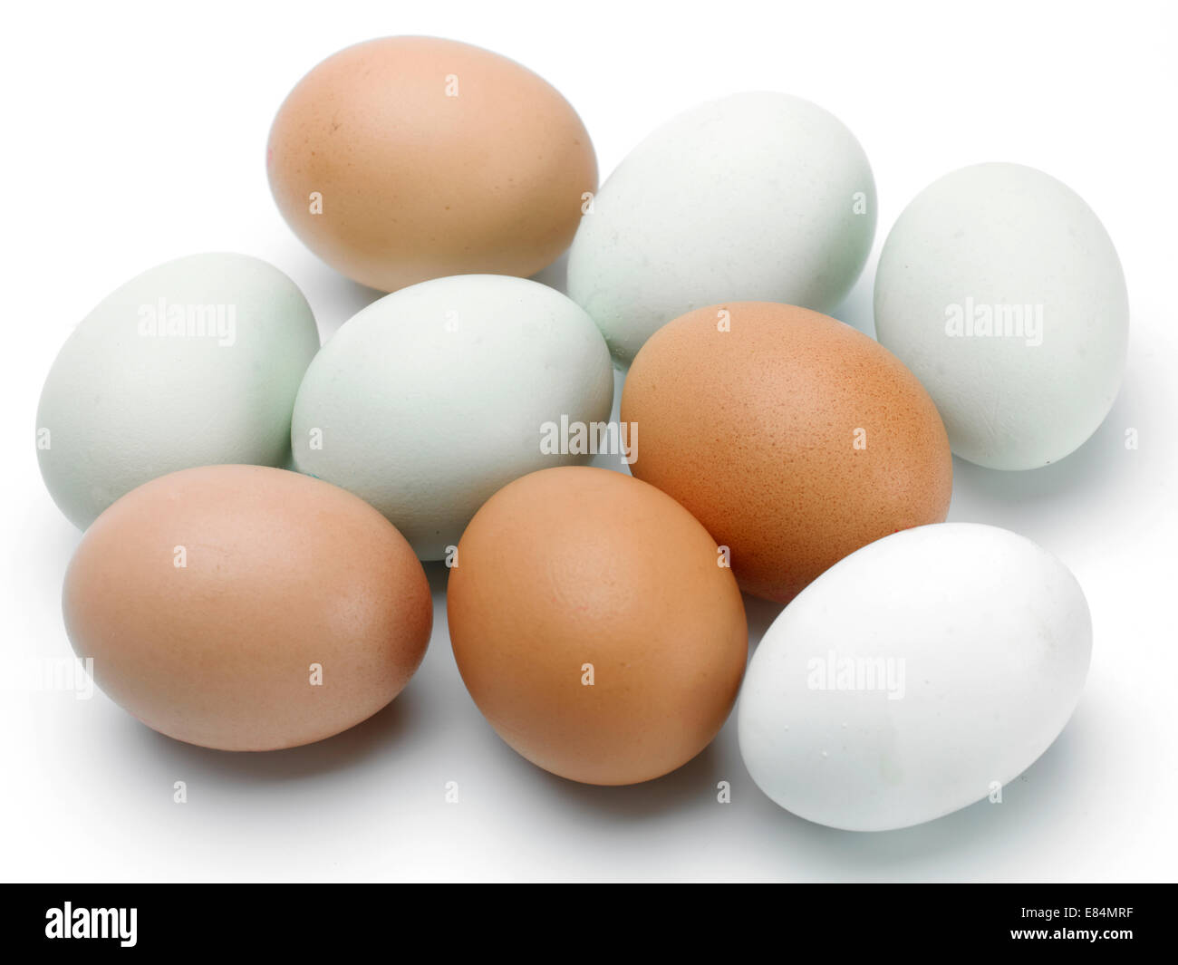 a selection of blue and brown eggs on a white background Stock Photo