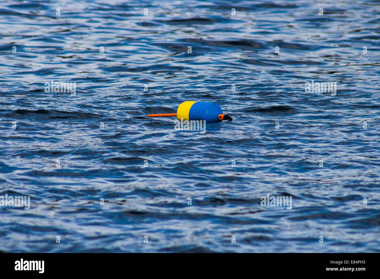 colorful buoys floating in the water Stock Photo - Alamy