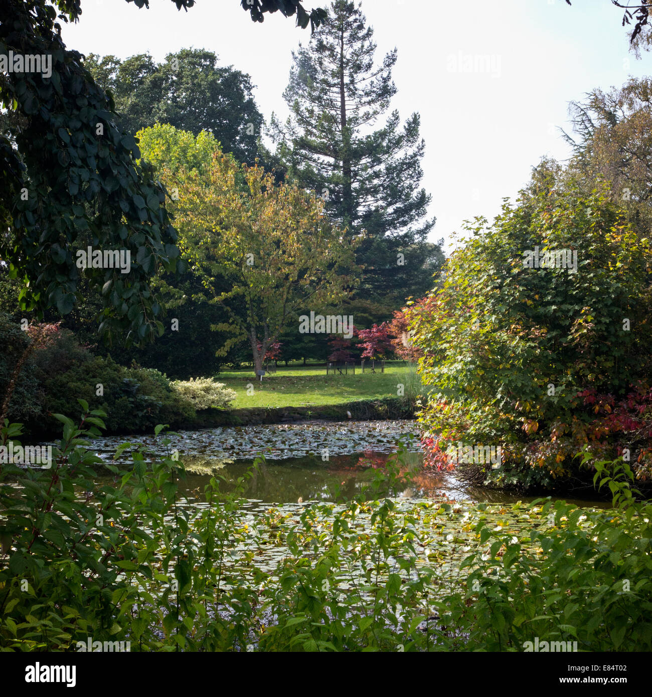 Wakehurst Place in Ardingly in West Sussex, the Country Estate of Royal