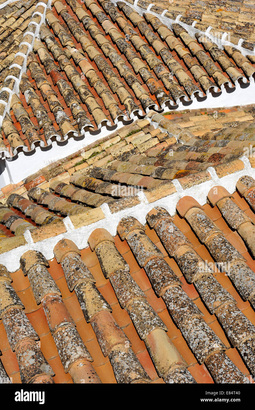 A section of pitched pantiled roofs in a Spanish village Stock Photo