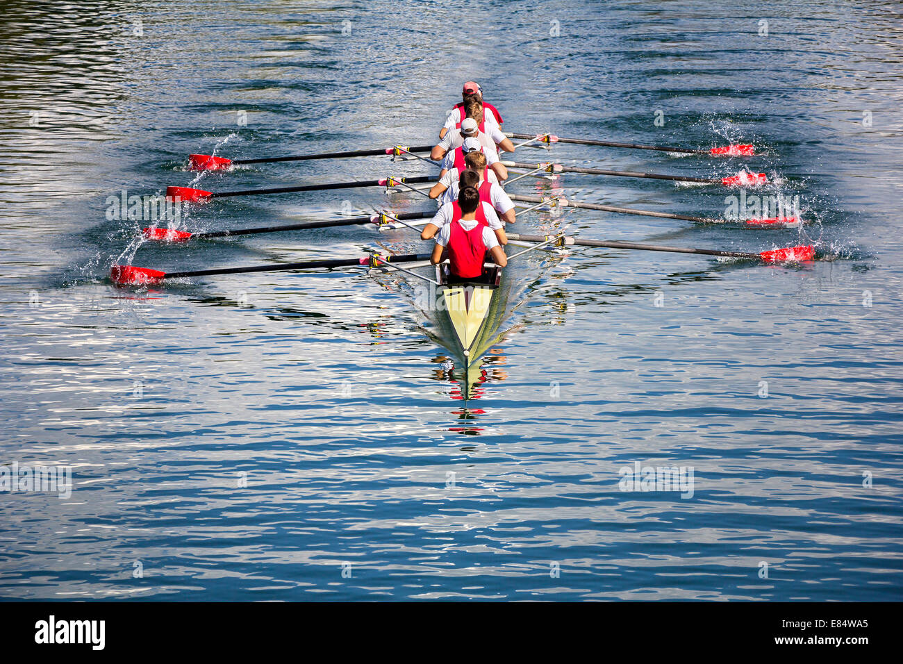 Rowers in eightoar rowing boats on the tranquil lake Stock Photo Alamy