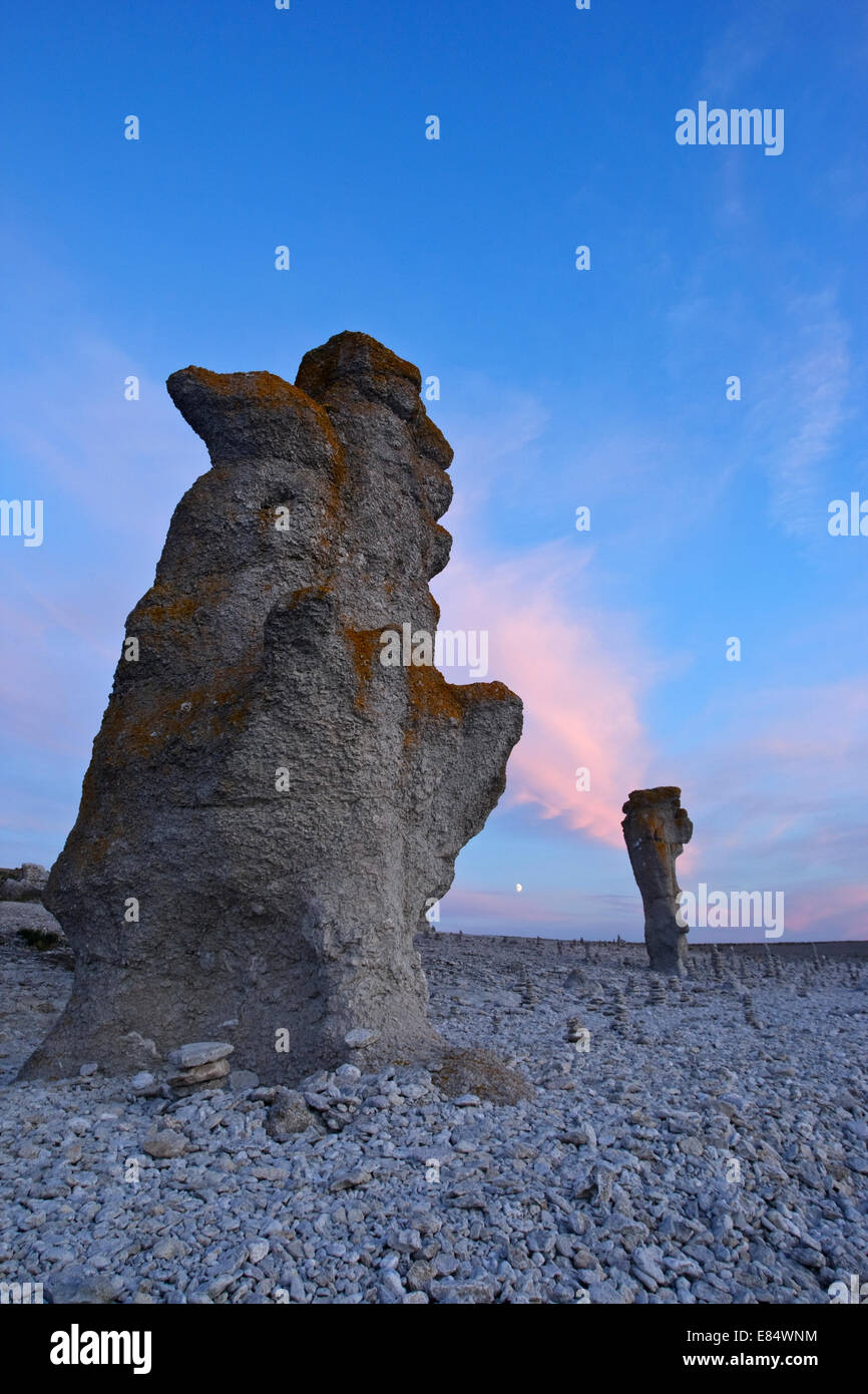 Limestone stacks called Rauks at Langhammershammer by sunset Faroe, Gotland, Sweden, Scandinavia Stock Photo
