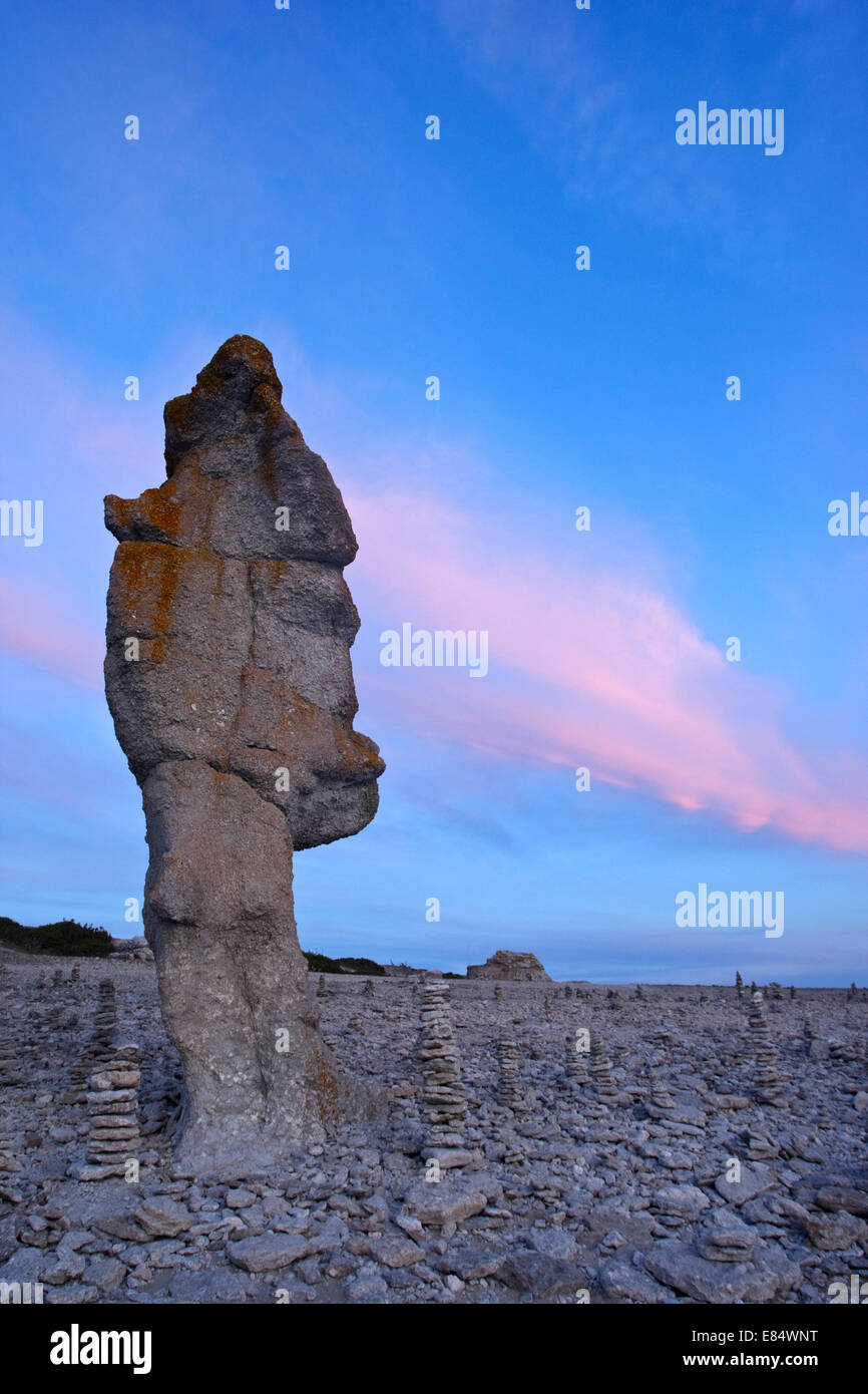 Limestone stacks called Rauks at Langhammershammer by sunset Faroe, Gotland, Sweden, Scandinavia Stock Photo
