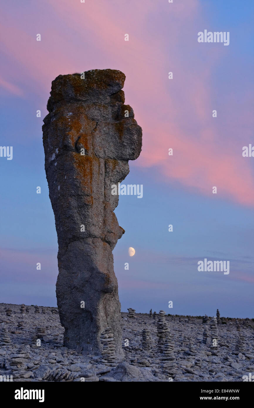 Limestone stacks called Rauks at Langhammershammer by sunset Faroe, Gotland, Sweden, Scandinavia Stock Photo