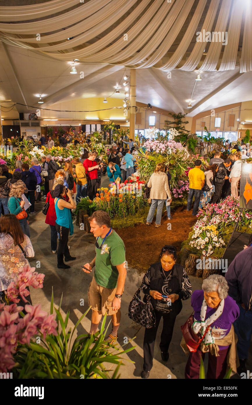 Santa Barbara International Orchid Show, Earl Warren Showgrounds, Santa