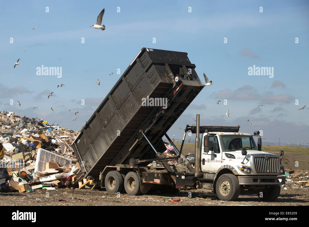 Truck dumping garbage in active landfill cell at Shepard Waste Stock