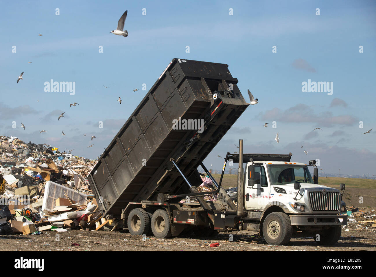 Truck dumping municipal garbage in active landfill cell at Shepard Waste Management Facility, Calgary, Alberta, Canada Stock Photo