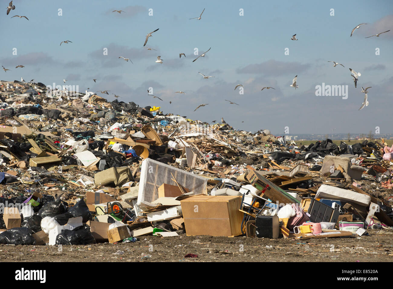 Active landfill cell at Shepard Waste Management Facility. Stock Photo