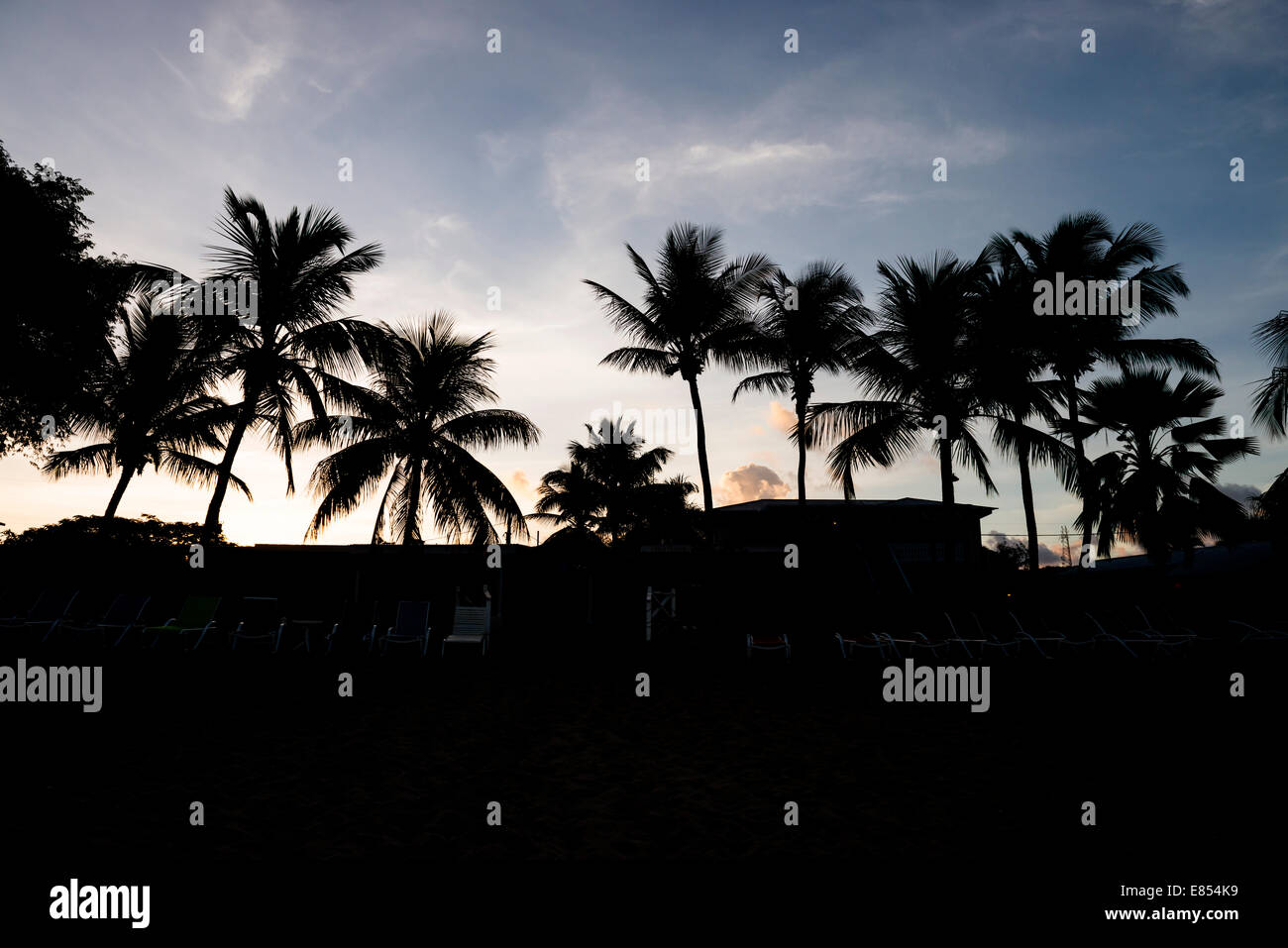 Dawn breaks over Cottages by the Sea  resort, showing the buildings and coconut palm trees in silhouette on the island of St. Croix, USVI. Stock Photo