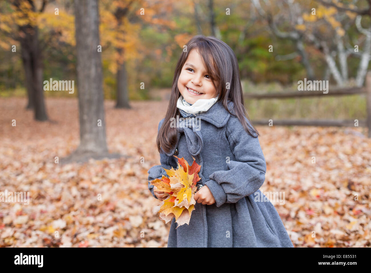 Little girl with autumn leaves in an autumn park Stock Photo - Alamy