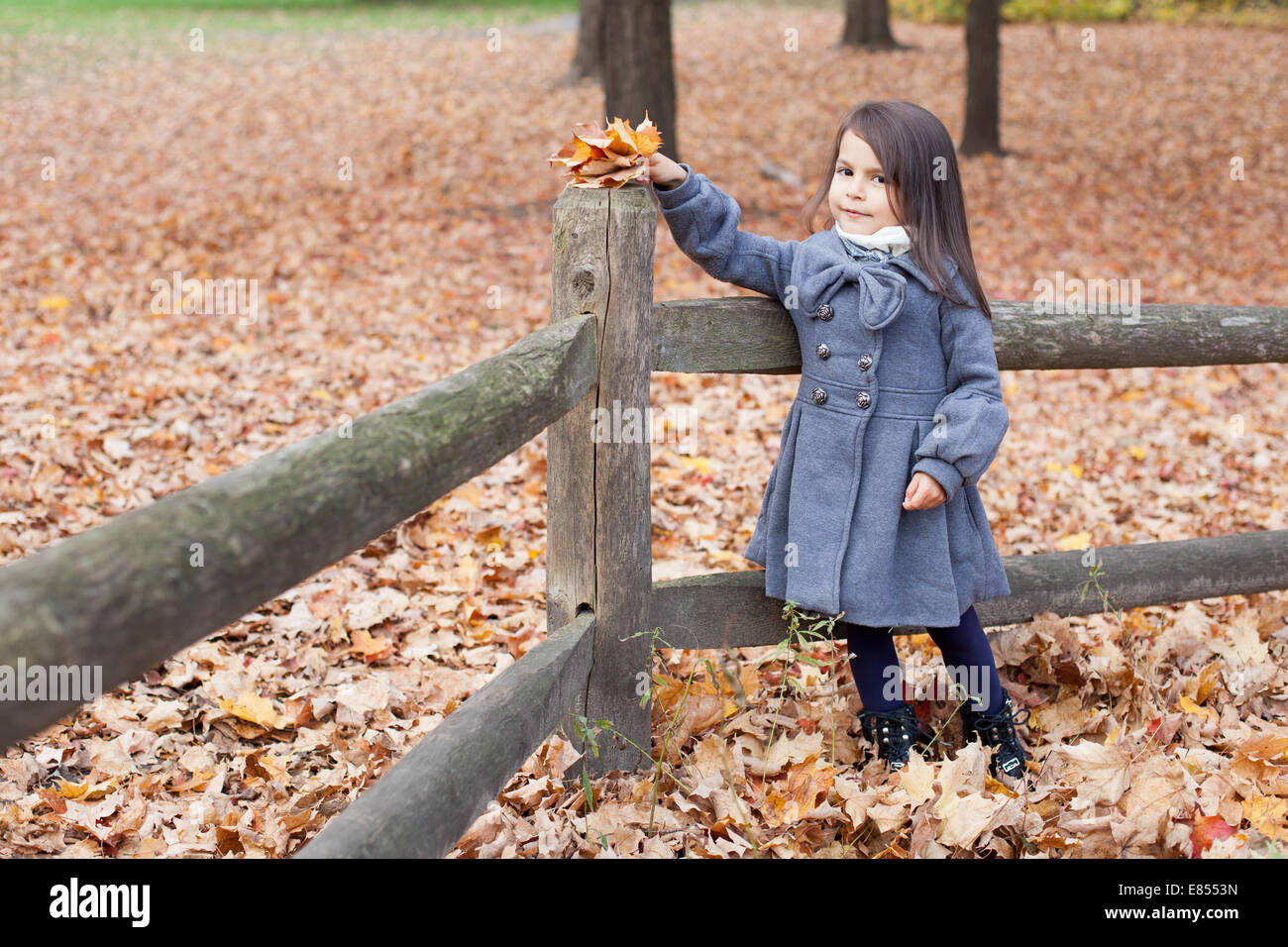 Little girl with autumn leaves in an autumn park Stock Photo - Alamy