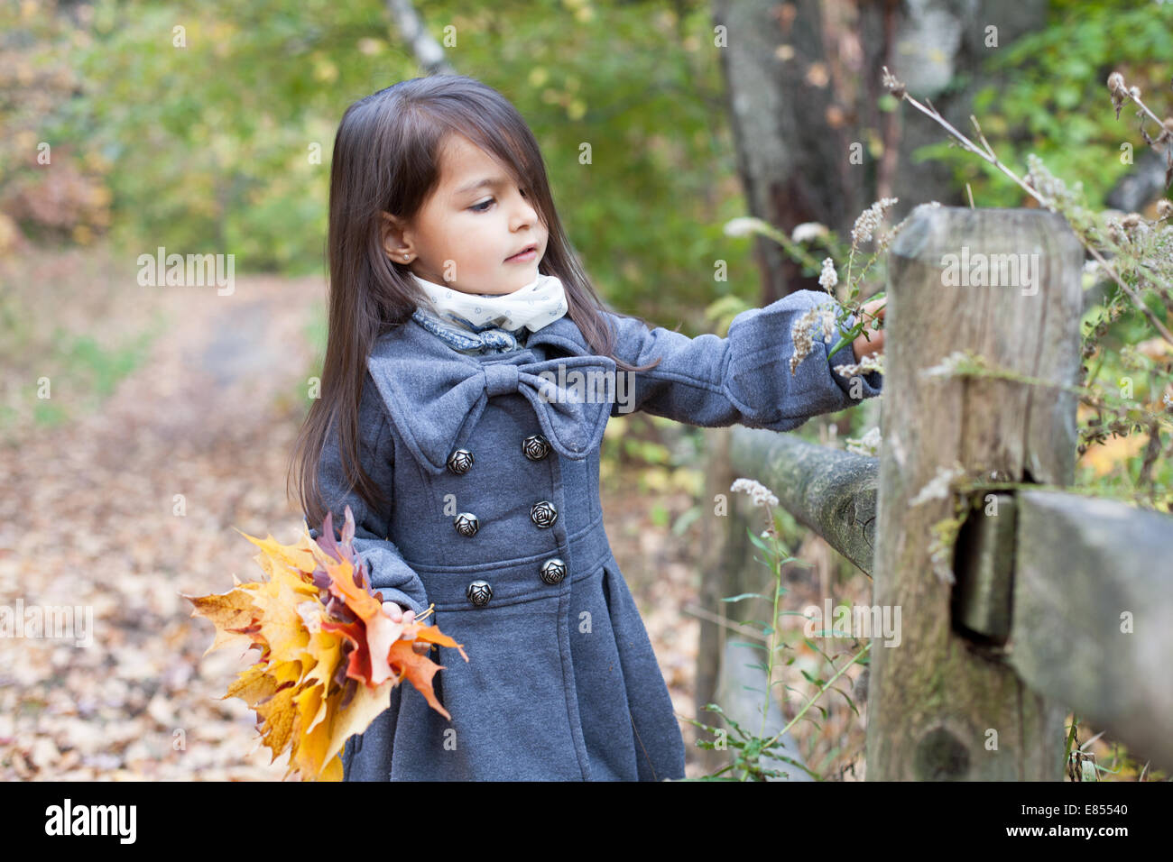 Little girl with autumn leaves in an autumn park Stock Photo - Alamy