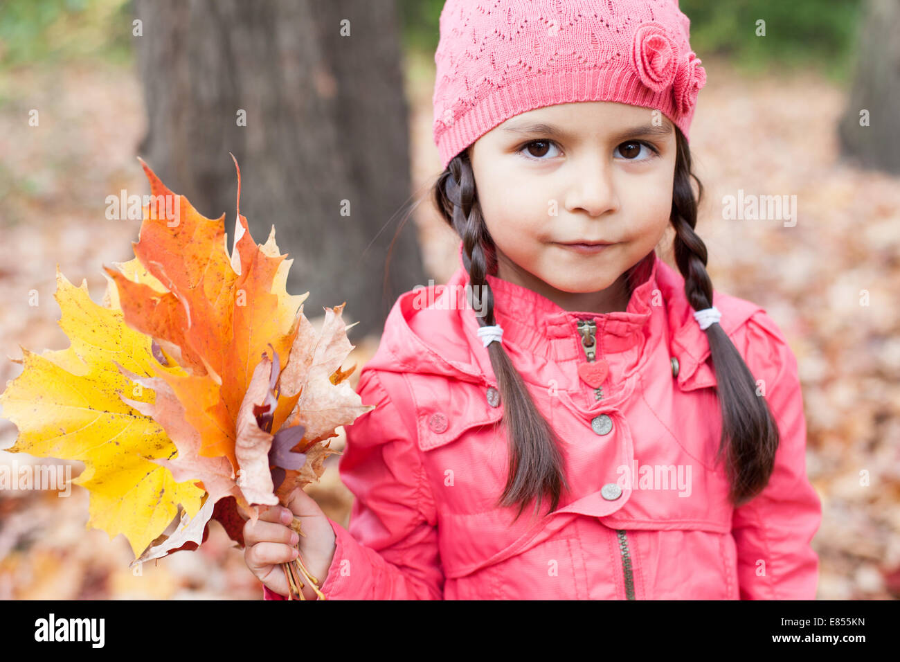 Little girl with autumn leaves in an autumn park Stock Photo - Alamy