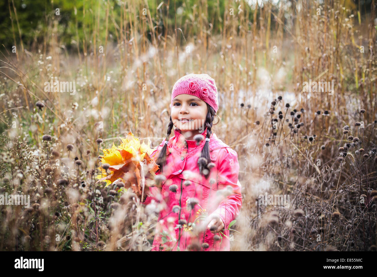 Little girl with autumn leaves in an autumn park Stock Photo - Alamy