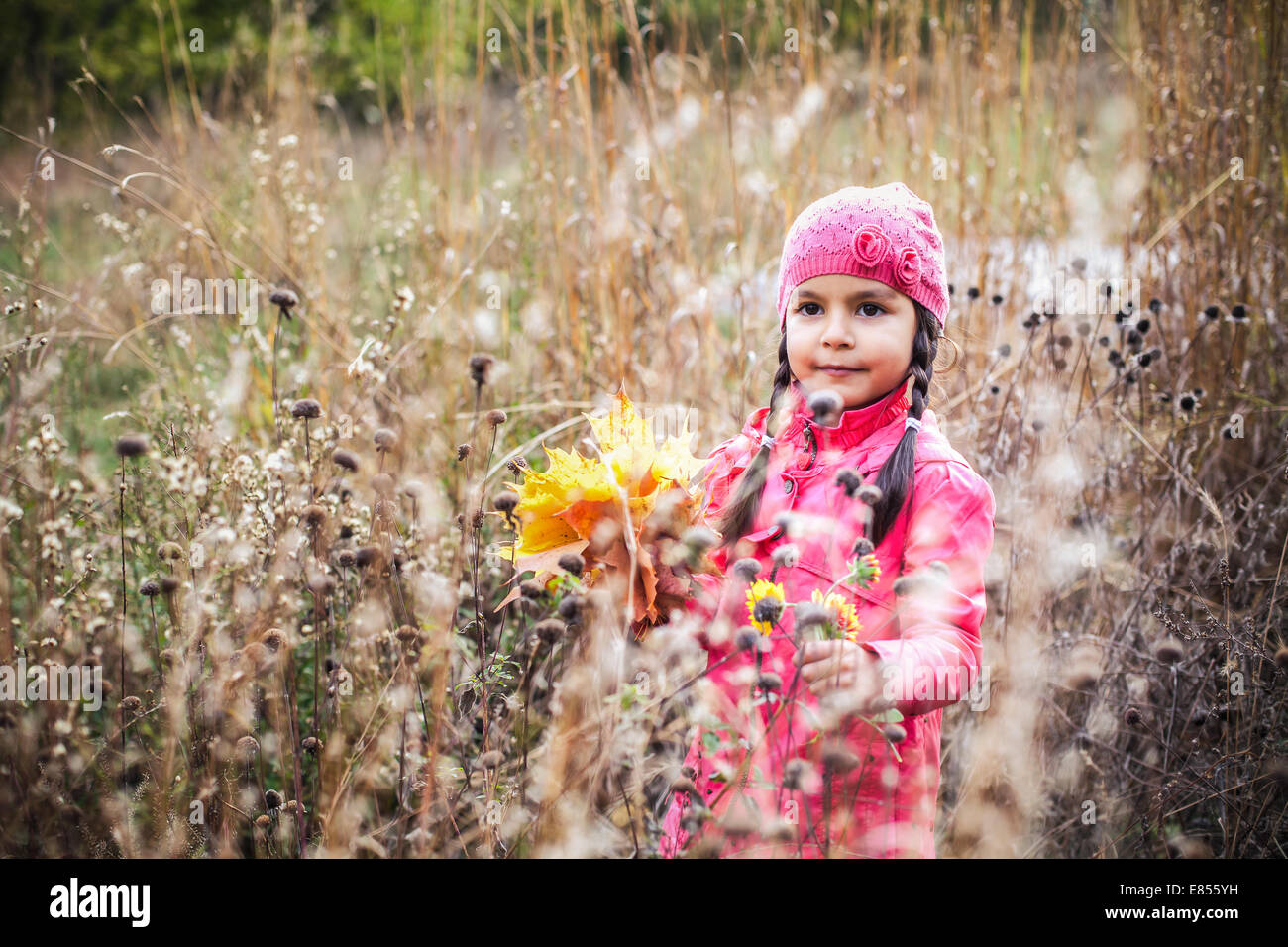 Little girl with autumn leaves in an autumn park Stock Photo - Alamy