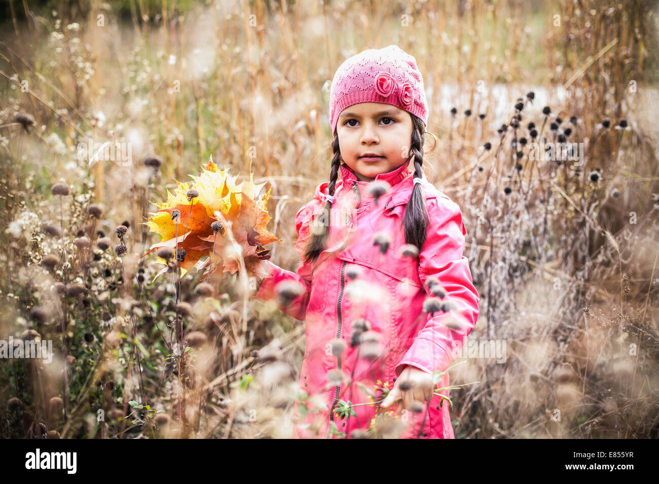 Little girl with autumn leaves in an autumn park Stock Photo - Alamy