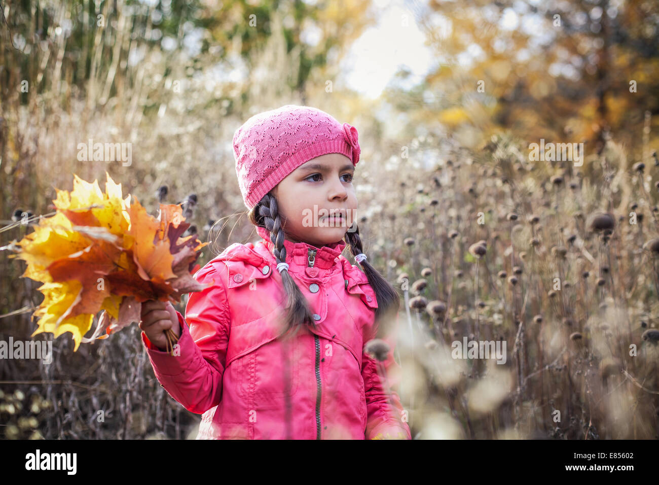 Little girl with autumn leaves in an autumn park Stock Photo - Alamy