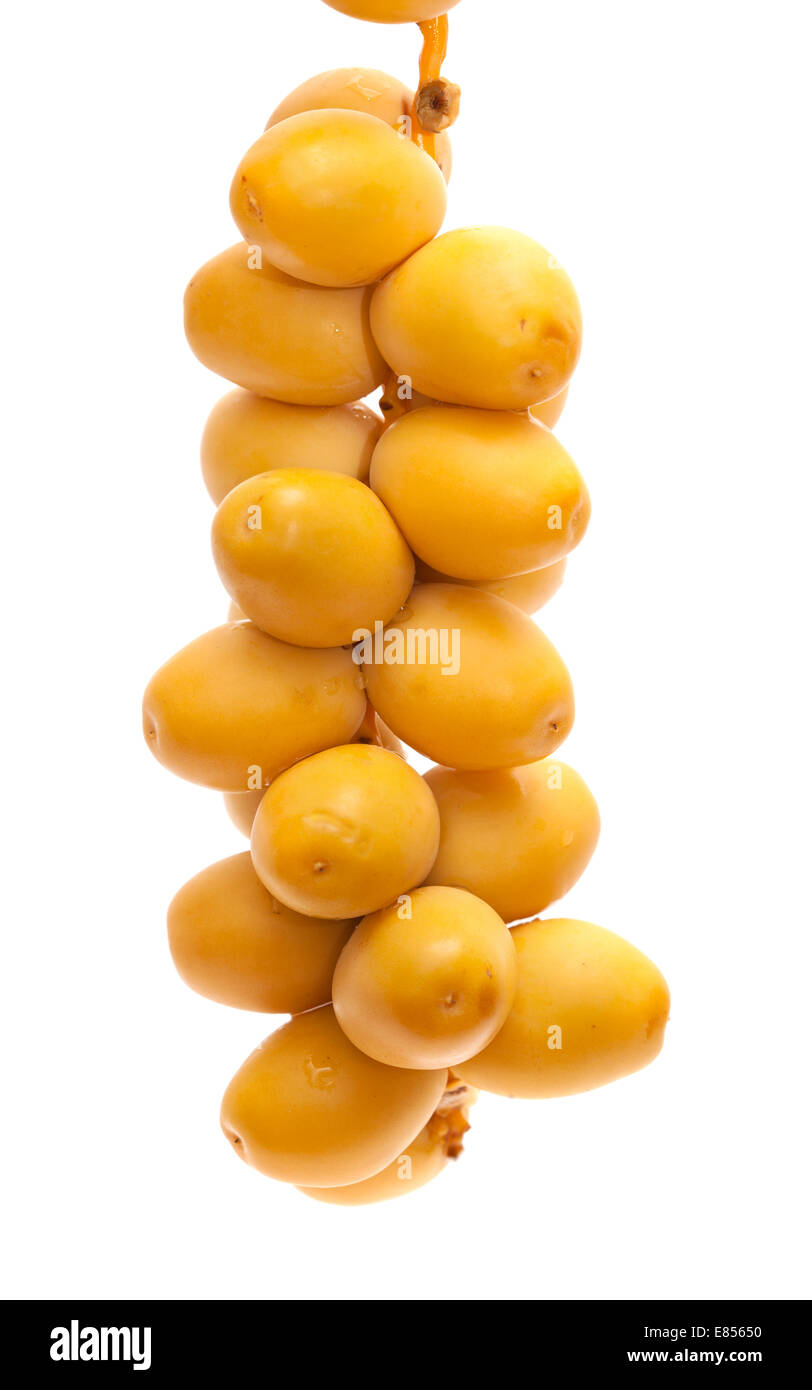fresh undried date fruit isolated on white Stock Photo Alamy