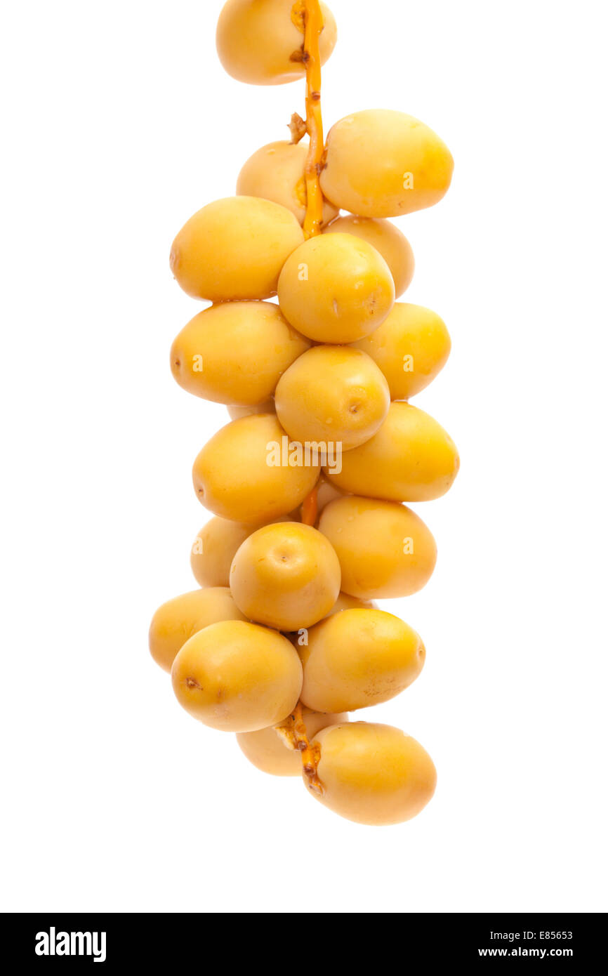 fresh undried date fruit isolated on white Stock Photo Alamy