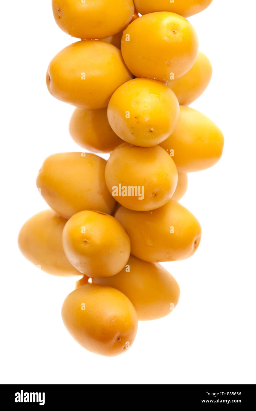 fresh undried date fruit isolated on white Stock Photo Alamy