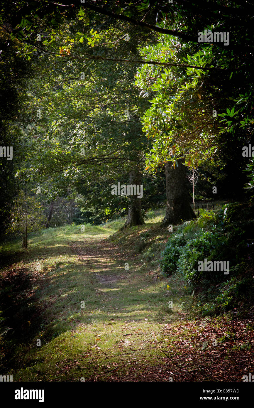 Wakehurst Place in Ardingly in West Sussex, the Country Estate of Royal
